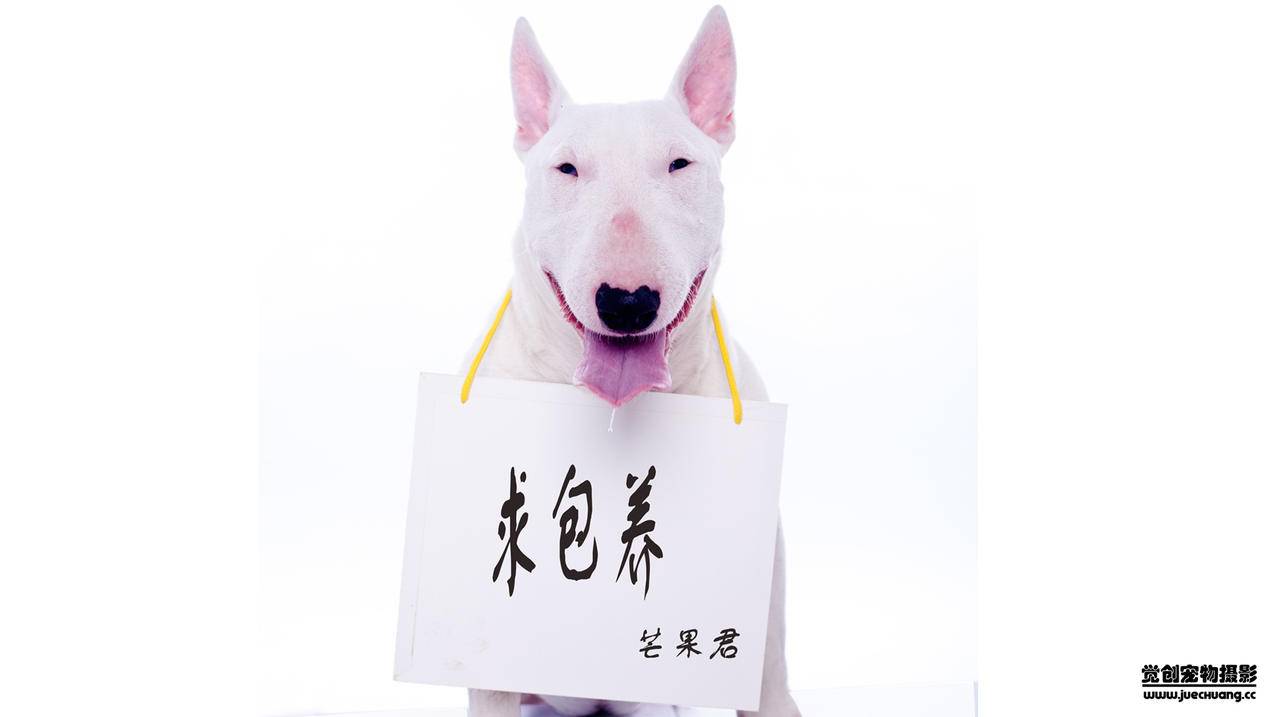快手买站一块钱1000|卡盟平台在线下单|抖音粉丝下单秒到账链接